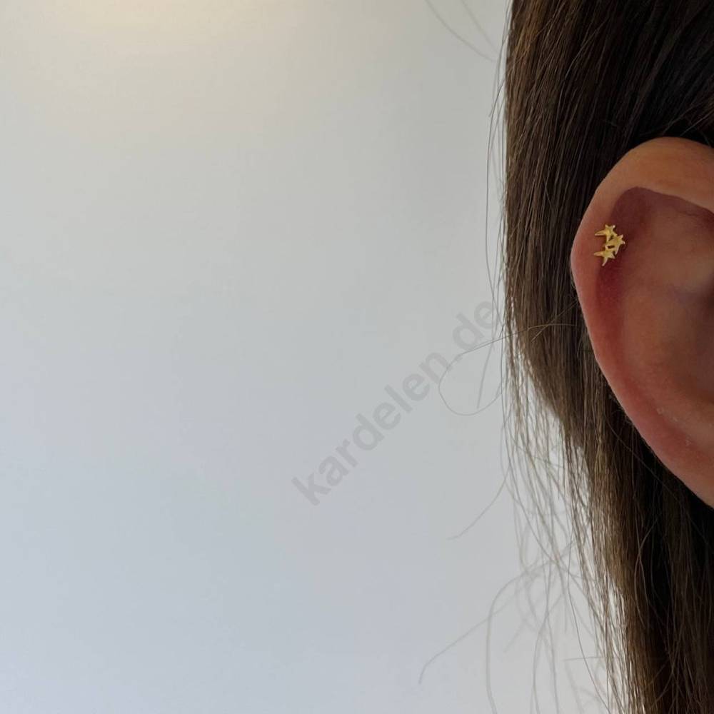 Kardelen Stern Piercing Letzte 3 Tage