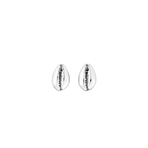 Leaf Jewelry Ohrstecker Cowrie Shell, 925 Sterlingsilber Muttertagsangebot
