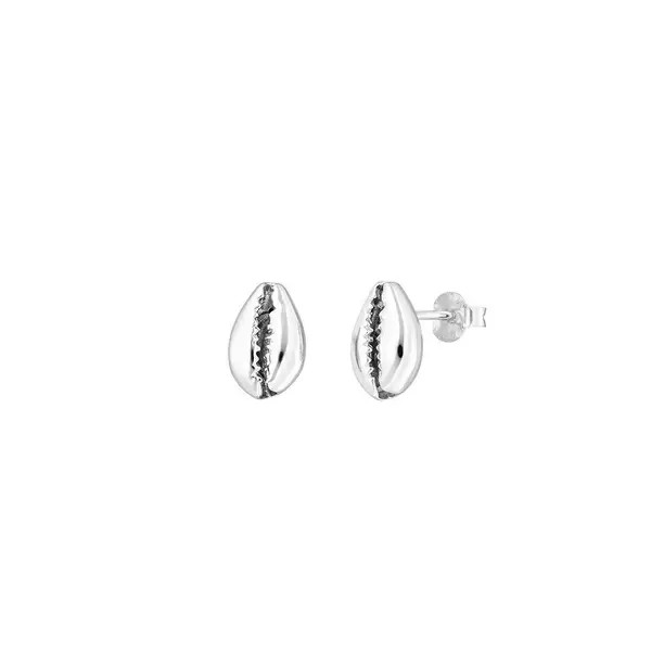 Leaf Jewelry Ohrstecker Cowrie Shell, 925 Sterlingsilber Muttertagsangebot