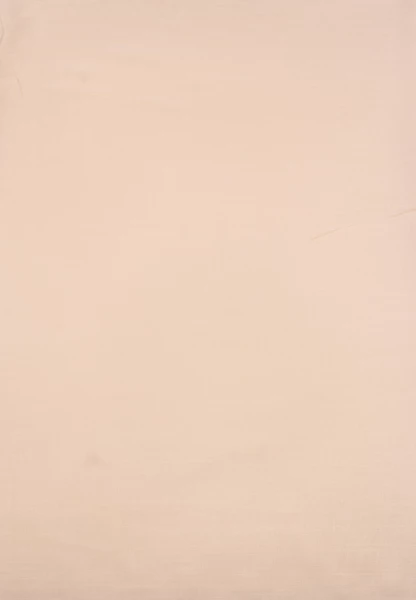 -50% SALE Leslii Damen-Schal Basic Uni-Schal beiger Fransen-Schal einfarbig in Beige Begrenzte Freigabe