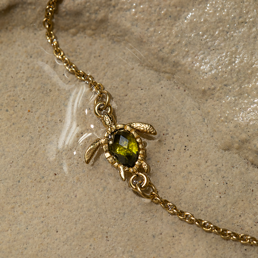Paul Hewitt Turtle Mono Armkette Gold Große Rabatte