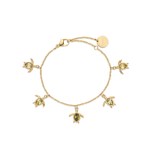 Paul Hewitt Turtle World Turtle Day Armkette Gold Riesige Ersparnisse