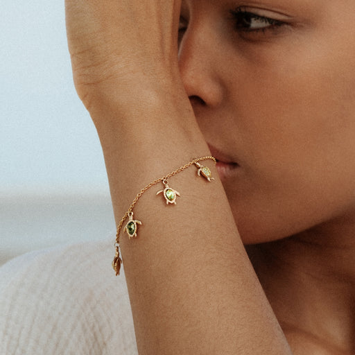 Paul Hewitt Turtle World Turtle Day Armkette Gold Riesige Ersparnisse