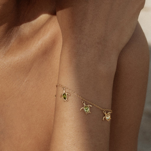 Paul Hewitt Turtle World Turtle Day Armkette Gold Riesige Ersparnisse