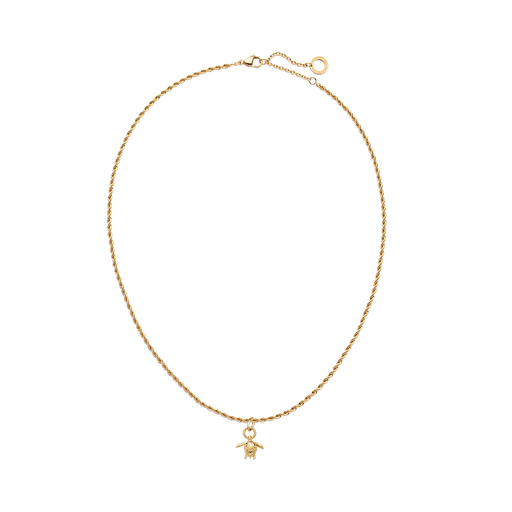 Paul Hewitt Set Turtle Charm und Halskette Gold Valentinstagsangebot