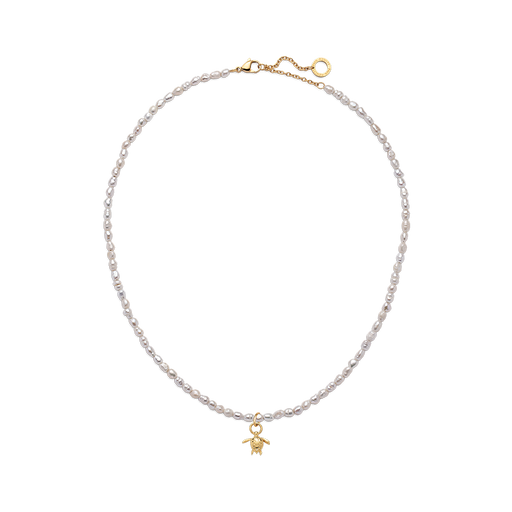 Paul Hewitt Set Turtle Charm und Halskette Gold Valentinstagsangebot