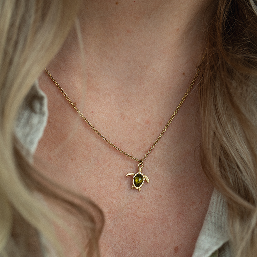 Paul Hewitt Set Turtle III Gold Tiefpreis