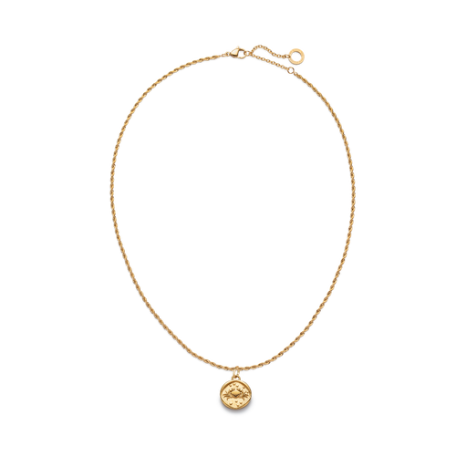Paul Hewitt Rope Chain Halskette und Zodiac Charms Gold Letzte 2 Tage