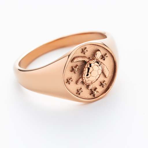 Paul Hewitt Turtle Signet Ring Roségold Fabrik Onlineshop