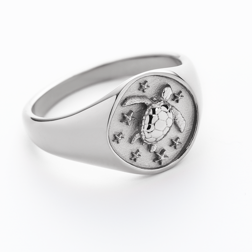 Paul Hewitt Turtle Signet Ring Silber Fabrikpreis