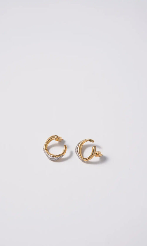 Paul Valentine Crystal Galaxy Ear Studs Super Rabatt