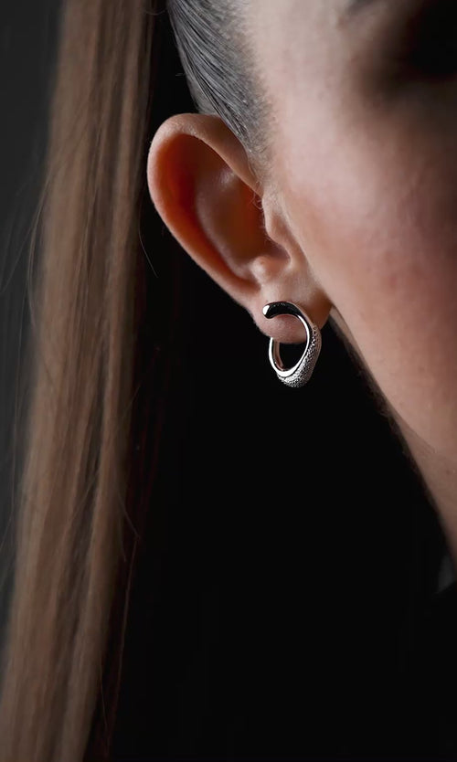 Paul Valentine Crystal Galaxy Ear Studs Begrenzte Freigabe
