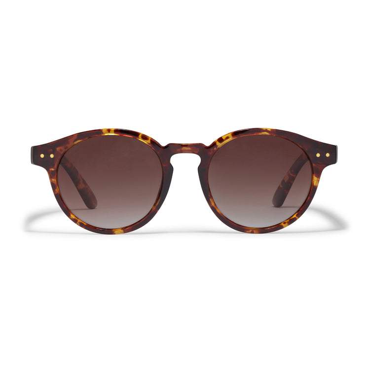 Pilgrim KYRIE Sonnenbrille Schildpatt-Braun/Gold Jubiläumsangebot