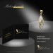 Silberdream GoldDream Kettenanhänger Elegance Zirkonia weiß 333 Gold Echtschmuck GDH5061Y Kostenlose Rückgabe