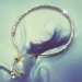 Silberdream SilberDream Armband Perlen diamantiert 925er Sterling Silber Damen SDA7004T Bis zu 65% Rabatt