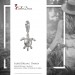 Silberdream SilberDream 925 Charm Seeschildkröte Armband Anhänger FC1002 Fabrikpreis