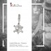 Silberdream SilberDream 925 Charm Schildkröte Armband Anhänger FC1001 Weihnachtsangebot