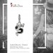 Silberdream SilberDream Glitzer Charm Drache schwarz Zirkonia 925 Silber GSC524S Valentinstagsangebot