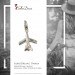 Silberdream SilberDream 925 Charm Flugzeug Armband Anhänger FC3043 Fabrikladen